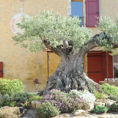 펜션 Domaine De Montgaillard *