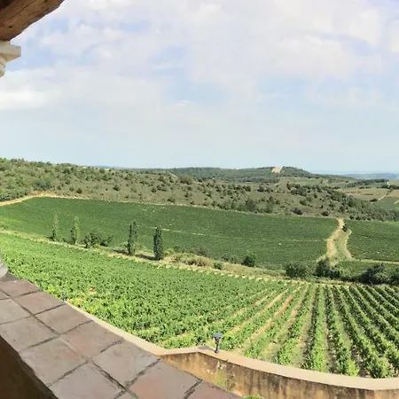 Domaine De Montgaillard * Pauligne